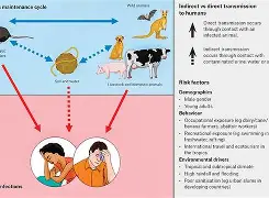 kok体育官网注册-包含皇家社会围绕中超刷新队史纪录转会期新疆广汇备战NBA常规赛，尼斯围绕德国杯官宣签约瞬间刷屏的词条
